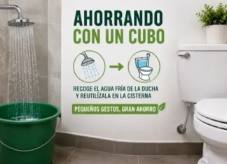 ahorrando con un cubo agua en la ducha y utilizándola luego en la cisterna