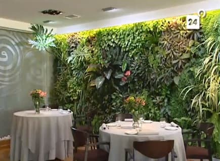 Jardines verticales de interior (Vídeo incluido) jardin-vertical-interior