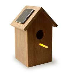 Casita solar para pájaros casa-solar-para-pajaros