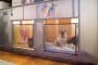lateral-habitacion-prefabricada-z_box