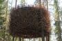 habitacion-TreeHotel-Nido_Pajaro-exterior
