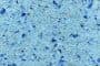 texturas-material-NovuStone
