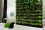 Greeworks, solución mobile plant walls