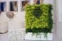 Greeworks, mobile plant walls