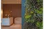 caseta-prefabricada-eDEN-jardin-vertical