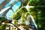 Bionic-Arch-torre-autosuficiente-Taichung