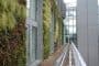 fachadas-vegetales-hotel-Mint-Londres