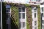 fachadas-vegetales-hotel-Mint-Londres