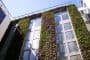 fachadas-vegetales-hotel-Mint-Londres