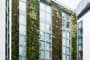 fachadas-vegetales-hotel-Mint-Londres