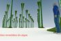 sistemas-energia-biofotovoltaica