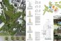 concurso-granjas-verticales-para-Londres