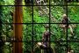 jardin-vertical-tienda-Replay-Barcelona