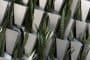 detalle-muro-vegetal-Hermanos_Campana