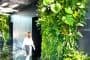 jardin-vertical-interior-vestibulo-oficinas-MSF-Lisboa