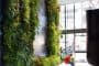 jardin-vertical-interior-vestibulo-oficinas-MSF-Lisboa