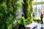 jardin-vertical-interior-vestibulo-oficinas-MSF-Lisboa
