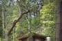 refugio-bosque-Islas-San-Juan-Olson-Kundig