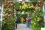 Jardines-verticales-Patrick-Blanc-Nueva-York-7