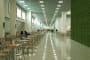 Greenwalls-paneles-acusticos-musgo-noruego-3