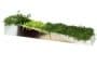 Miroir-en-Herbe-maceteros-muro-vegetal-1