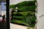 Miroir-en-Herbe-maceteros-muro-vegetal-3