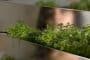 Miroir-en-Herbe-maceteros-muro-vegetal-4