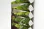 Miroir-en-Herbe-maceteros-muro-vegetal-5