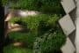 Miroir-en-Herbe-maceteros-muro-vegetal-6