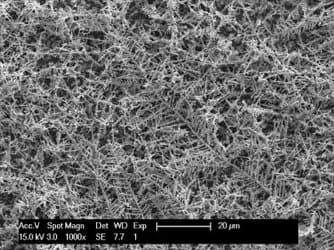 Células solares más eficientes con diminutos árboles fractales arboles fractales nitrato de plata