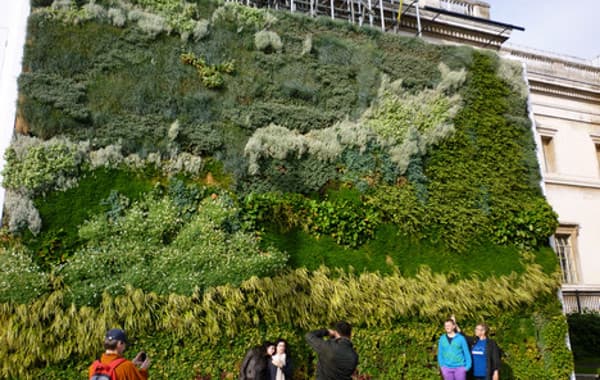 jardin-vertical-en-fachada-urbana jardin-vertical-en-fachada-urbana