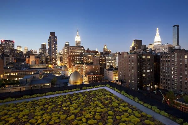 reforma-oficinas-Nueva_York-con-LEED-Platino-azotea sedum reforma-oficinas-Nueva_York-con-LEED-Platino-azotea sedum