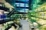 interior-Parkview-Green-FangCaoDi-edificio-sostenible