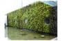 muro-vegetal-Ayuntamiento-Reikiavik