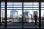 edificio-Sony-fachada-Bioskin-vista interior