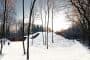 exterior-casa-Dutch_Mountain-enterrada por la colina artificial