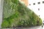 jardin-vertical-Clinica-Sagrado-Corazon-Sevilla
