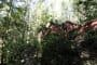 Six_Oaks-casa-container-en-bosque