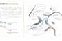 esquema-circulaciones-primer-premio-LA&W