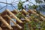 estructura-madera-para-cubierta