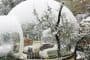Bubble_Tree-habitaciones-hinchables