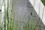 detalle-New-Forest-House-casa-ecologica