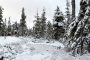 Cabaña-Alpina-paisaje-nevado