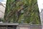 Oasis-Abukir-jardin-vertical