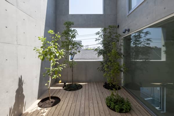 Casa K: dentro hay 5 patios con jardín Casa_K-con patios ajardinados