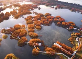 Fish Tail Park: regula las aguas pluviales con plantas vista aérea general Fish Tail Park Nanchang