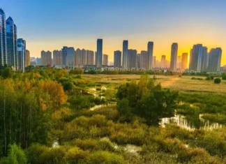 Parque de Aguas Pluviales Qunli